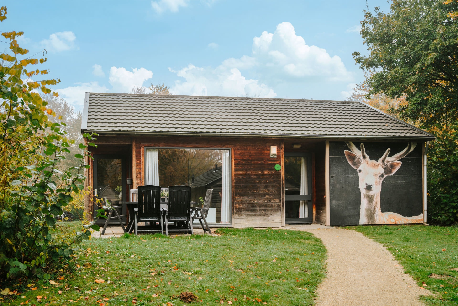 bungalow-damhert-vooraanzicht-accommodatie-vakantiepark-dierenbos