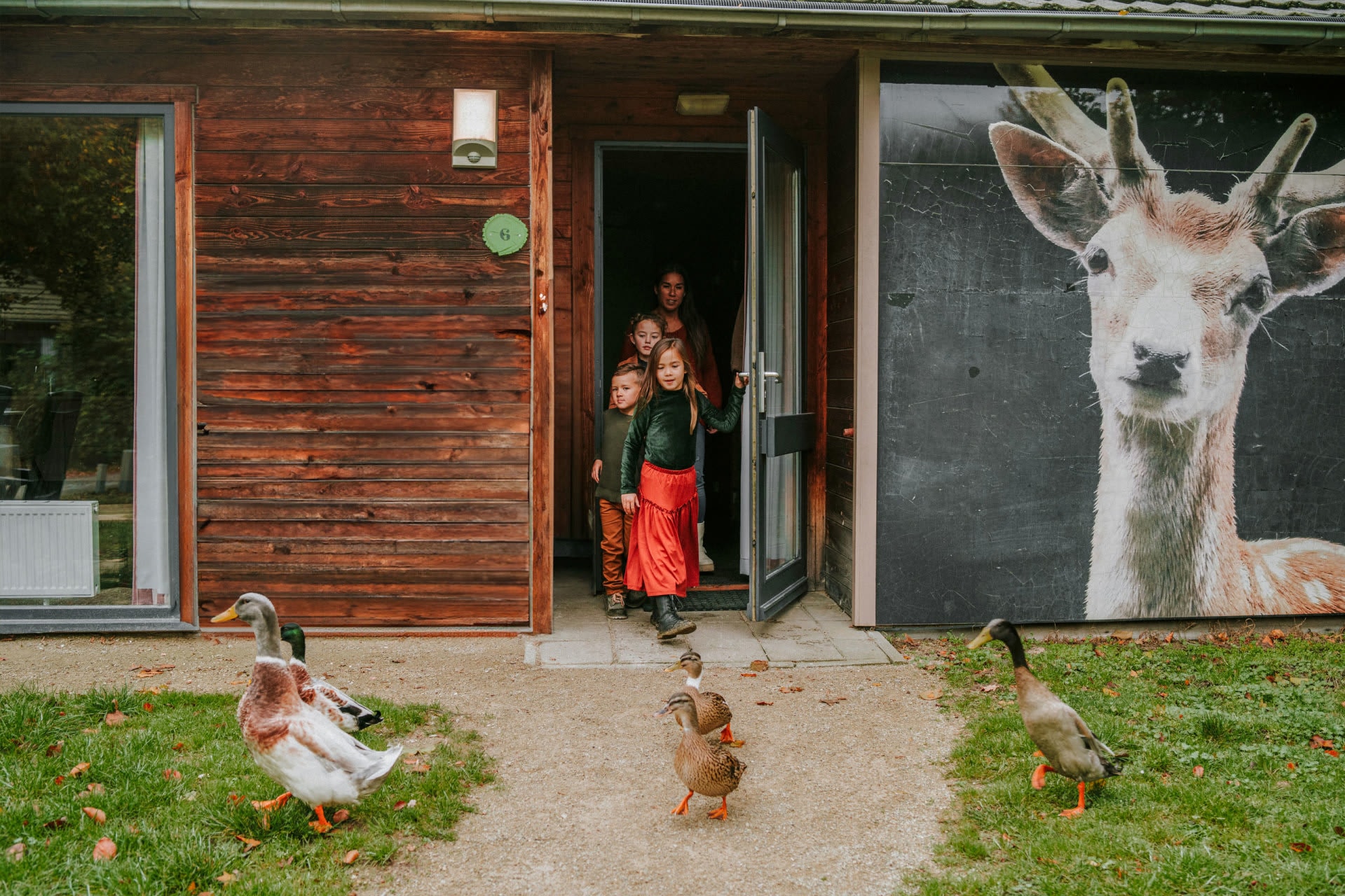 vakantiepark-dierenbos-damhert-accommodatie-vernieuwd-dinoweken-hr-bewerkt-bewerkt